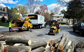 How Our Tree Care Process Works  in  Fort Branch, IN